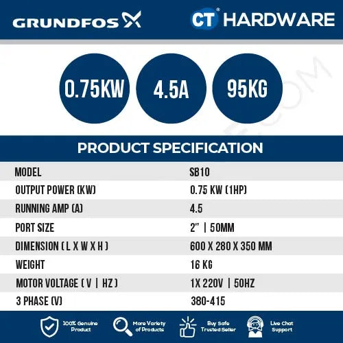 Grundfos SB10 Swimming Pool WAVE Pump 1HP