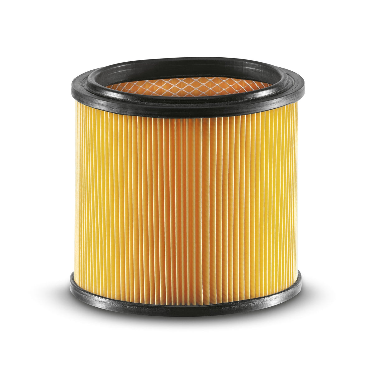 Karcher 28630130 Cartridge Filter MV1/WD1