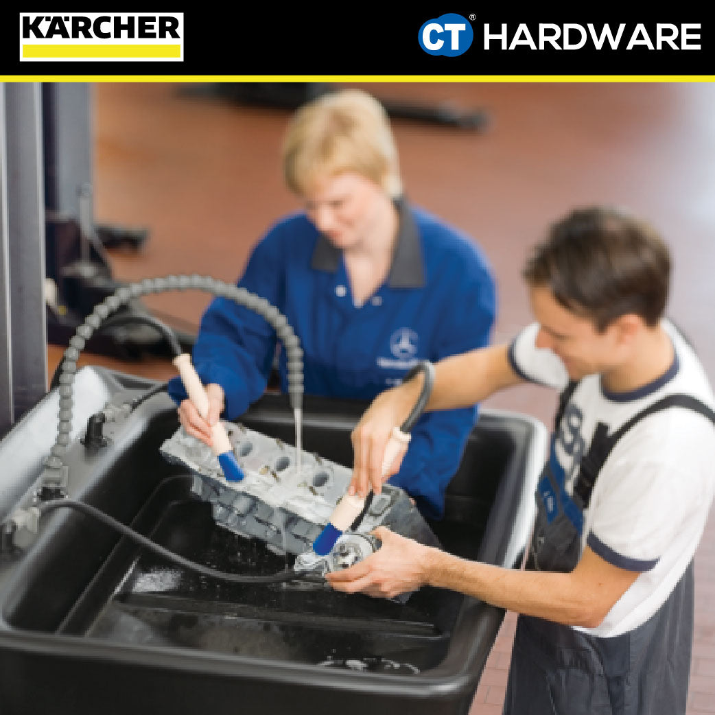 Karcher 62952620 PartsPro Microbe Suspension, 250ml