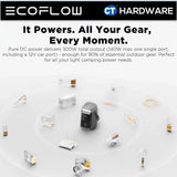 EcoFlow TRAIL Plus 300 DC Portable Power Station (288WH | 300W Output)